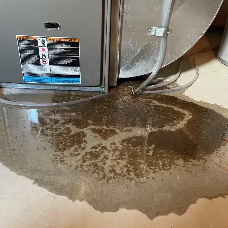 Appliance Leak Cleanup in Hermantown, MN